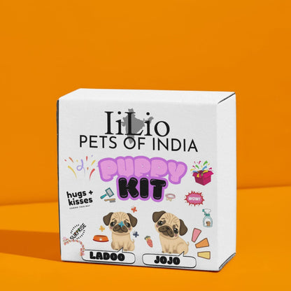 Gift Customized Pet Products Box with essential Products - iiLio Pet Products