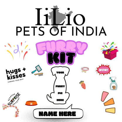Gift Customized Pet Products Box with essential Products - iiLio Pet Products