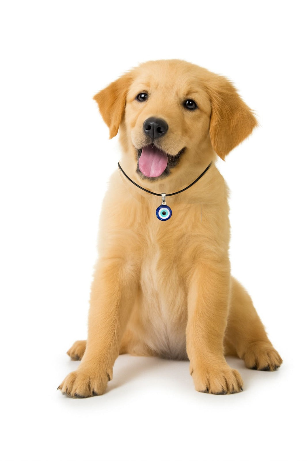 Evil Eye Pendant for Pets - 🧿 "Because your pet deserves love, luck, and protection." - iiLio Pet Products