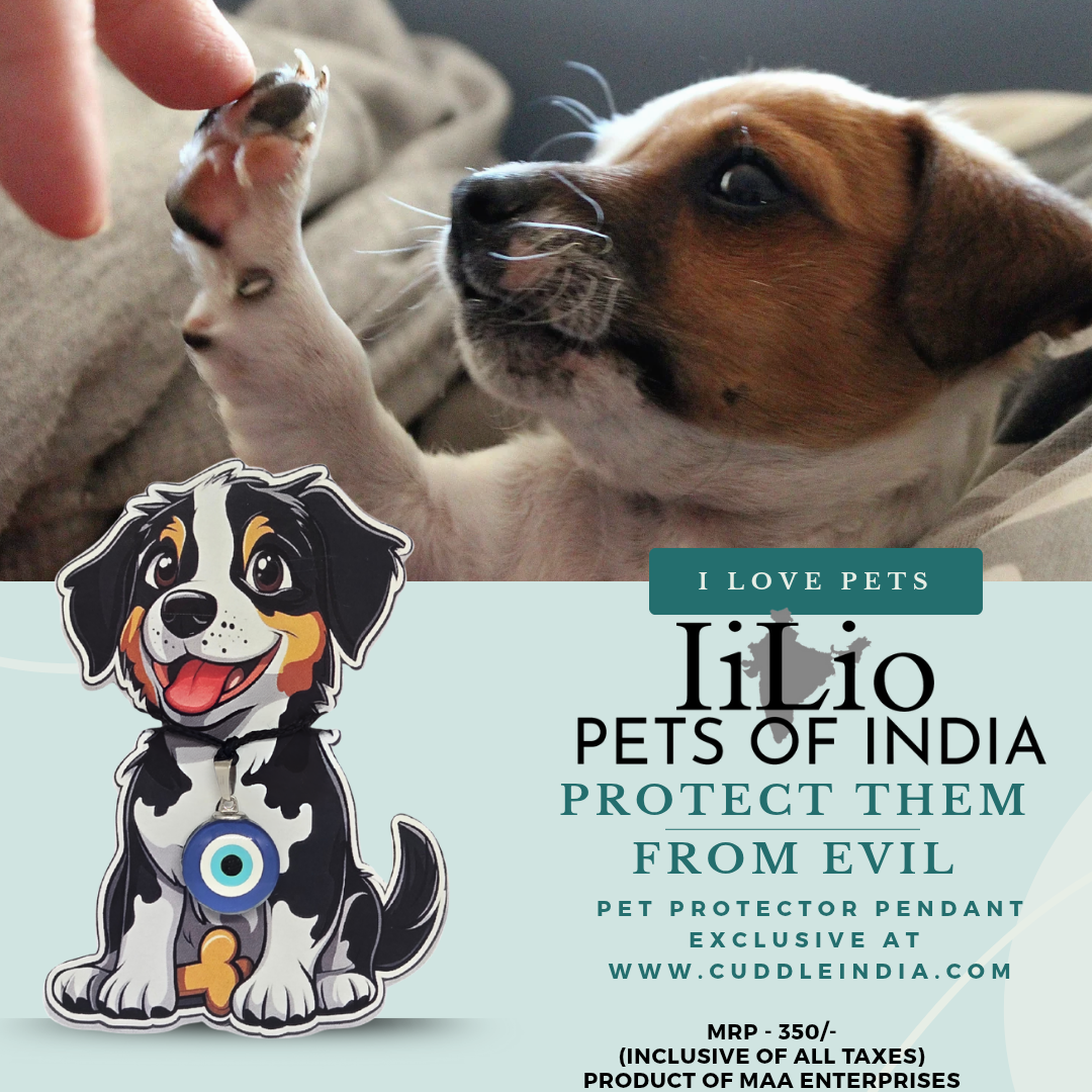 Evil Eye Pendant for Pets - 🧿 "Because your pet deserves love, luck, and protection." - iiLio Pet Products