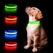 Pet Led Collar - Glow in Dark